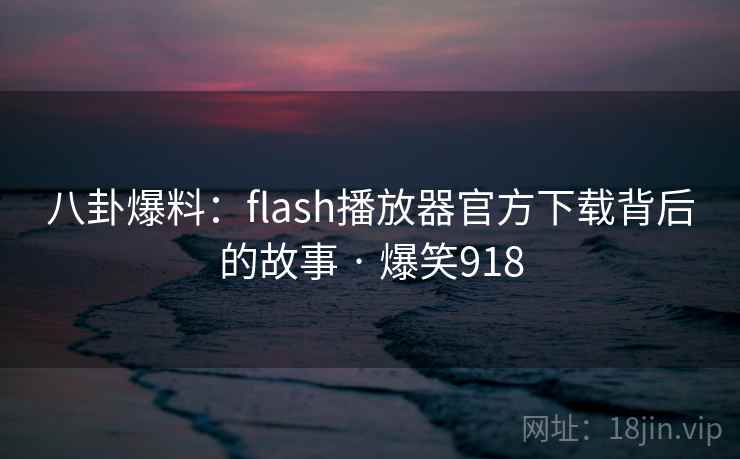 八卦爆料：flash播放器官方下载背后的故事 · 爆笑918