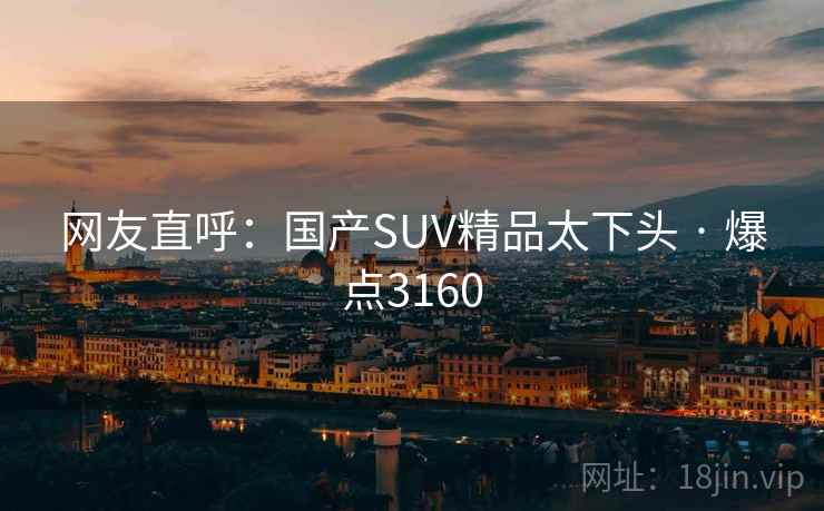 网友直呼：国产SUV精品太下头 · 爆点3160